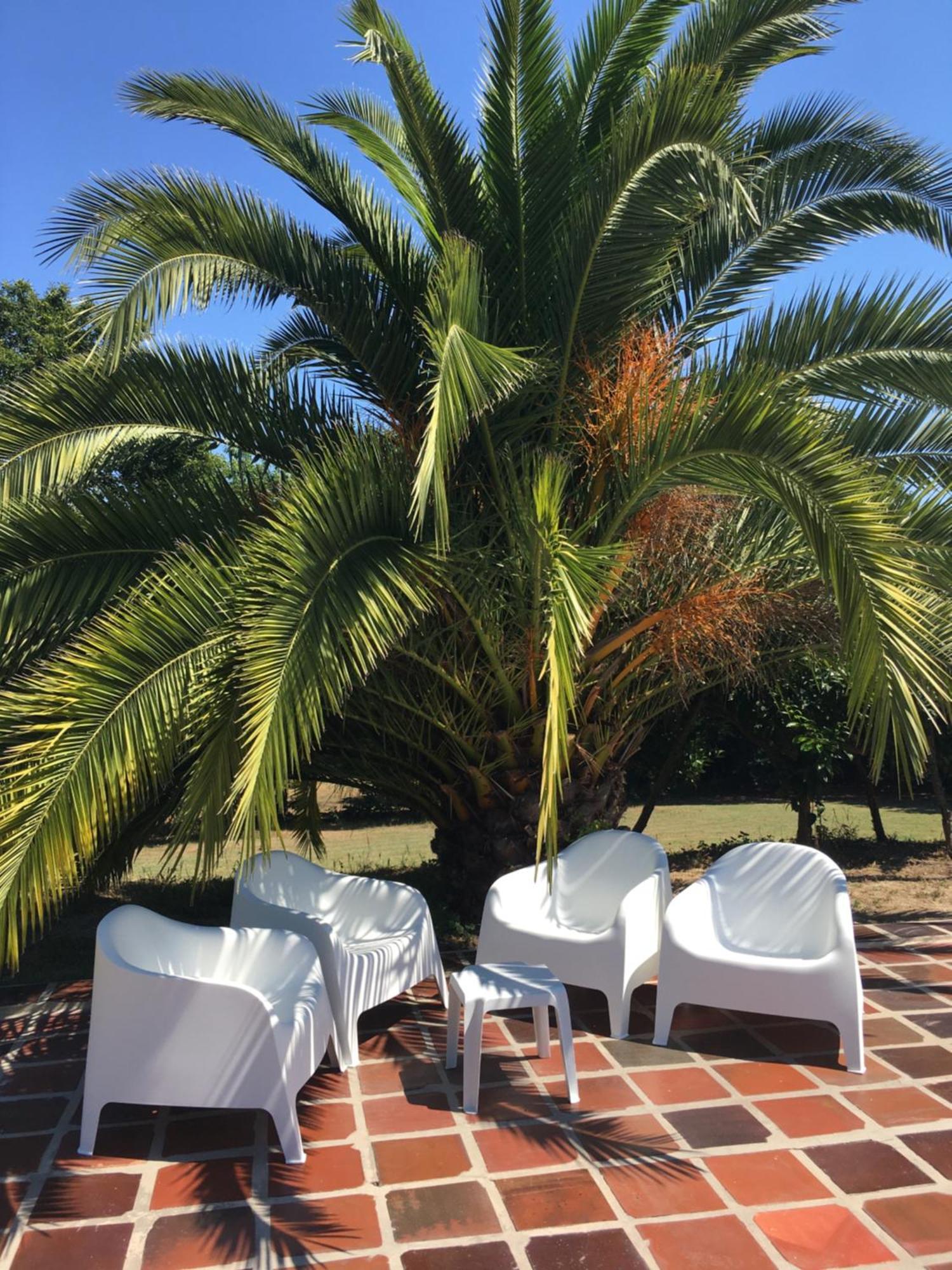 Quinta De Mocamedes - Turismo De Habitacao Otel Vouzela Dış mekan fotoğraf