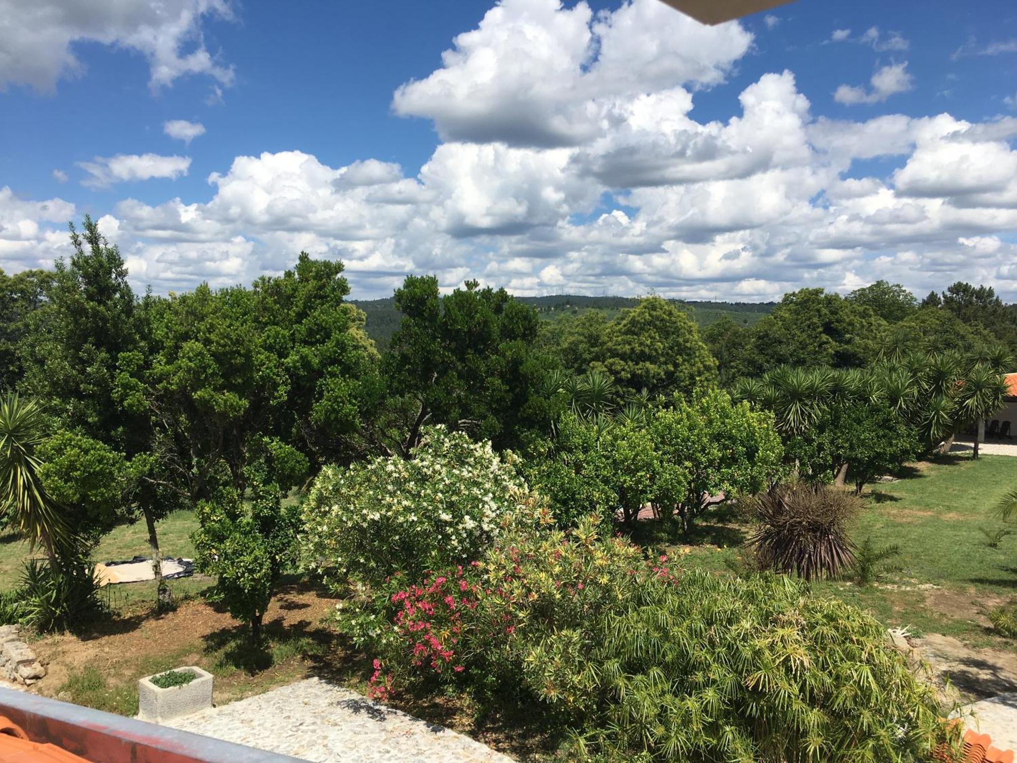 Quinta De Mocamedes - Turismo De Habitacao Otel Vouzela Dış mekan fotoğraf