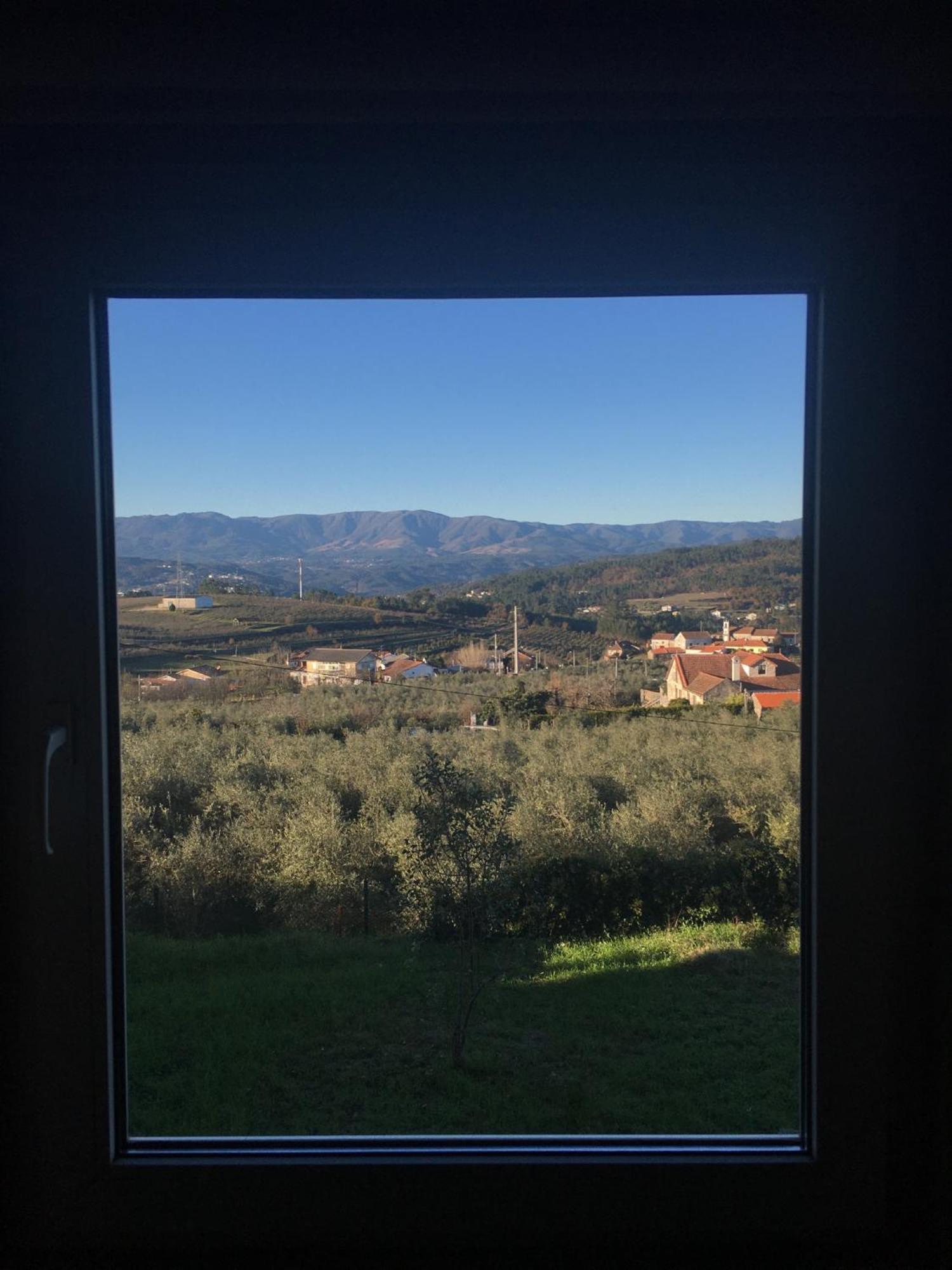 Quinta De Mocamedes - Turismo De Habitacao Otel Vouzela Dış mekan fotoğraf