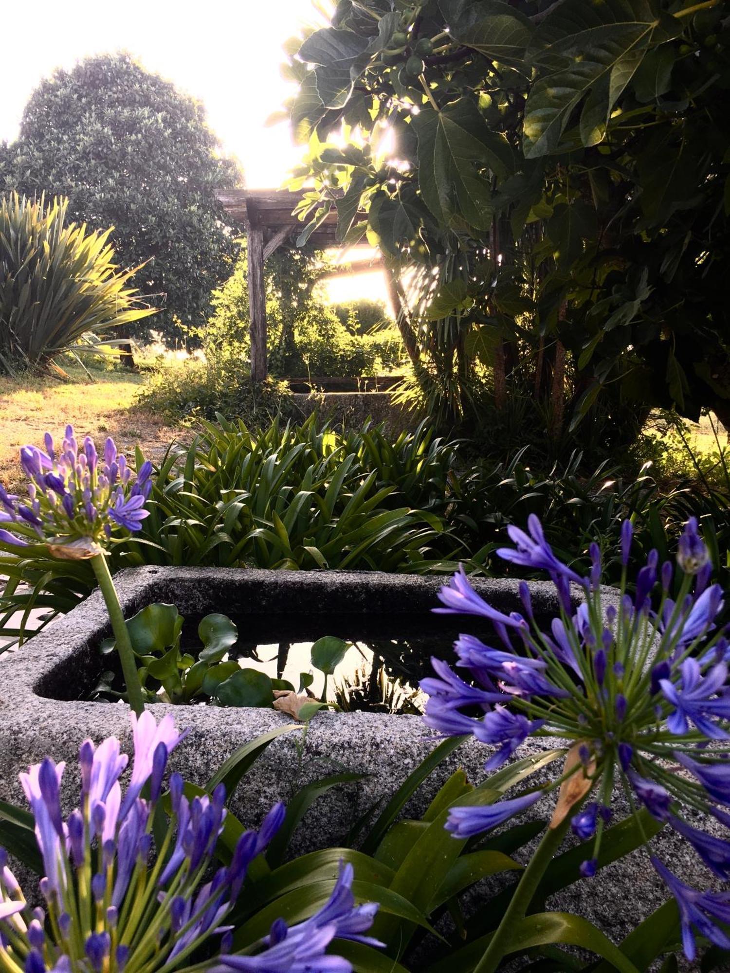 Quinta De Mocamedes - Turismo De Habitacao Otel Vouzela Dış mekan fotoğraf