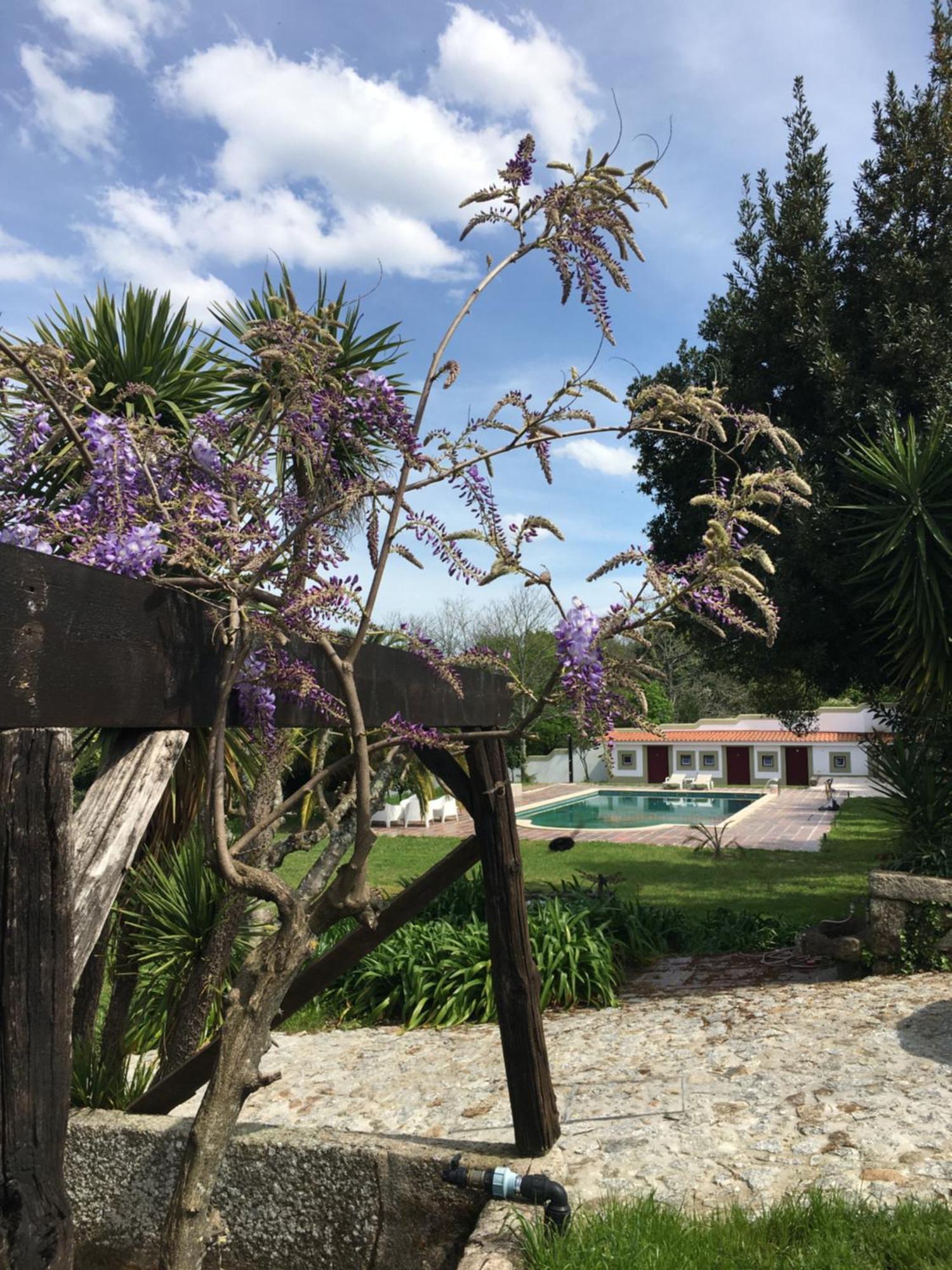 Quinta De Mocamedes - Turismo De Habitacao Otel Vouzela Dış mekan fotoğraf